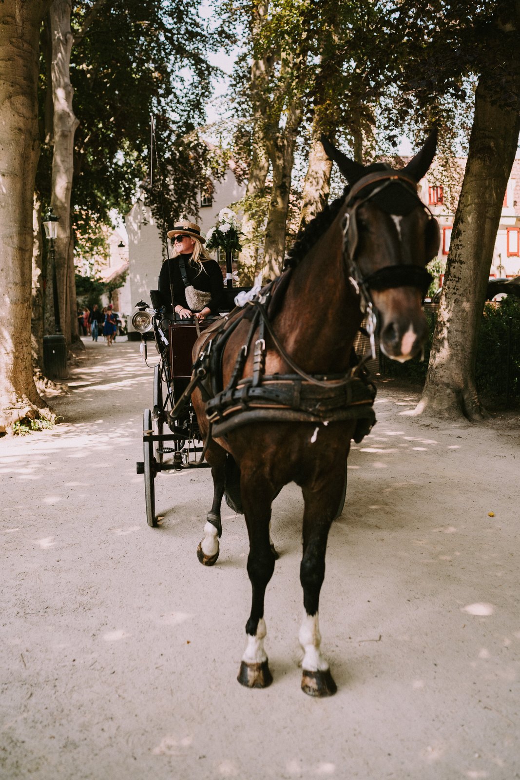 Paard en koets rijden door een dreef, onderweg naar het feest